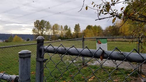 Bramble Park