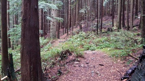 Ridge Park